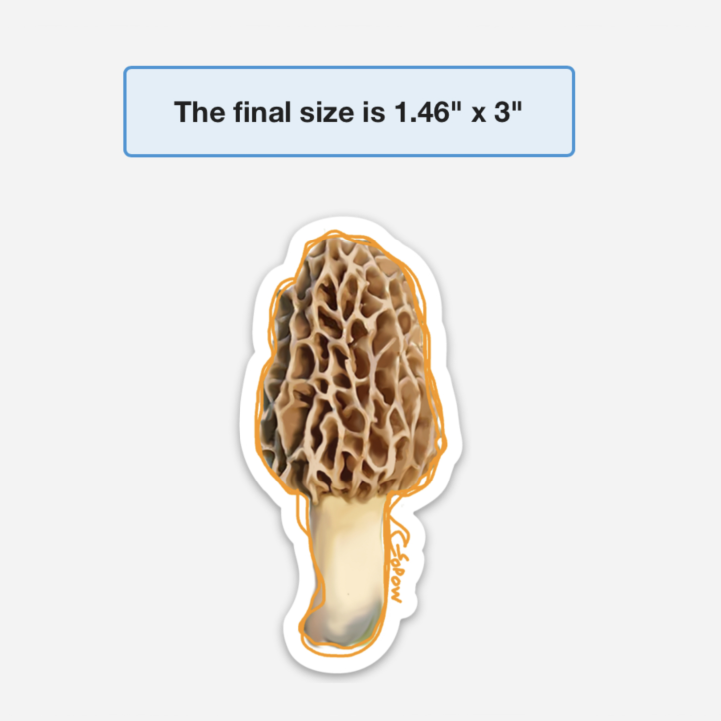 Morel Vinyl Sticker