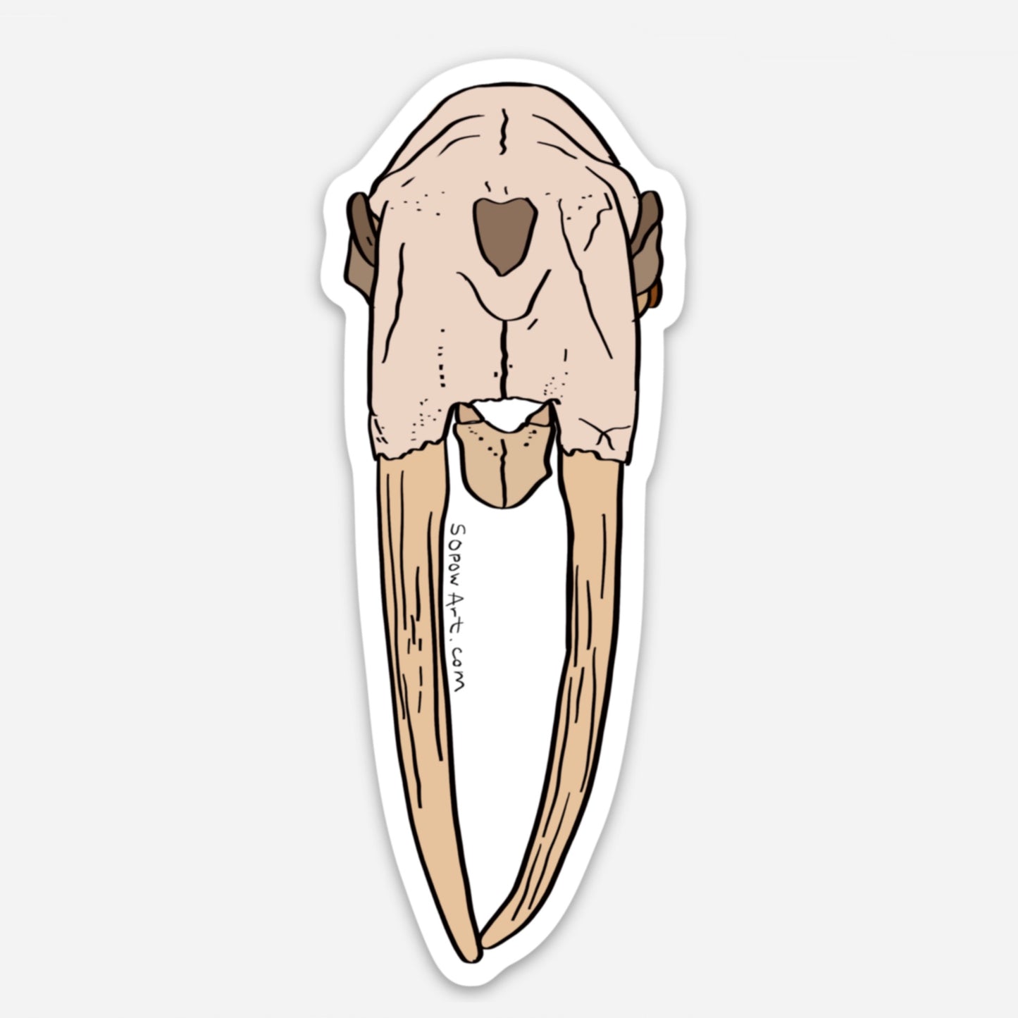 Walrus Skull Vinyl Sticker