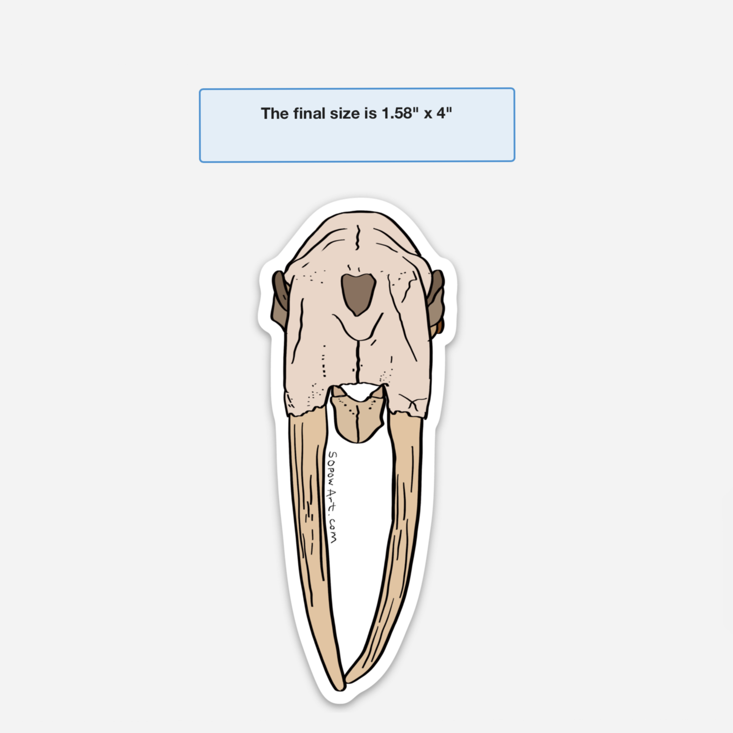 Walrus Skull Vinyl Sticker