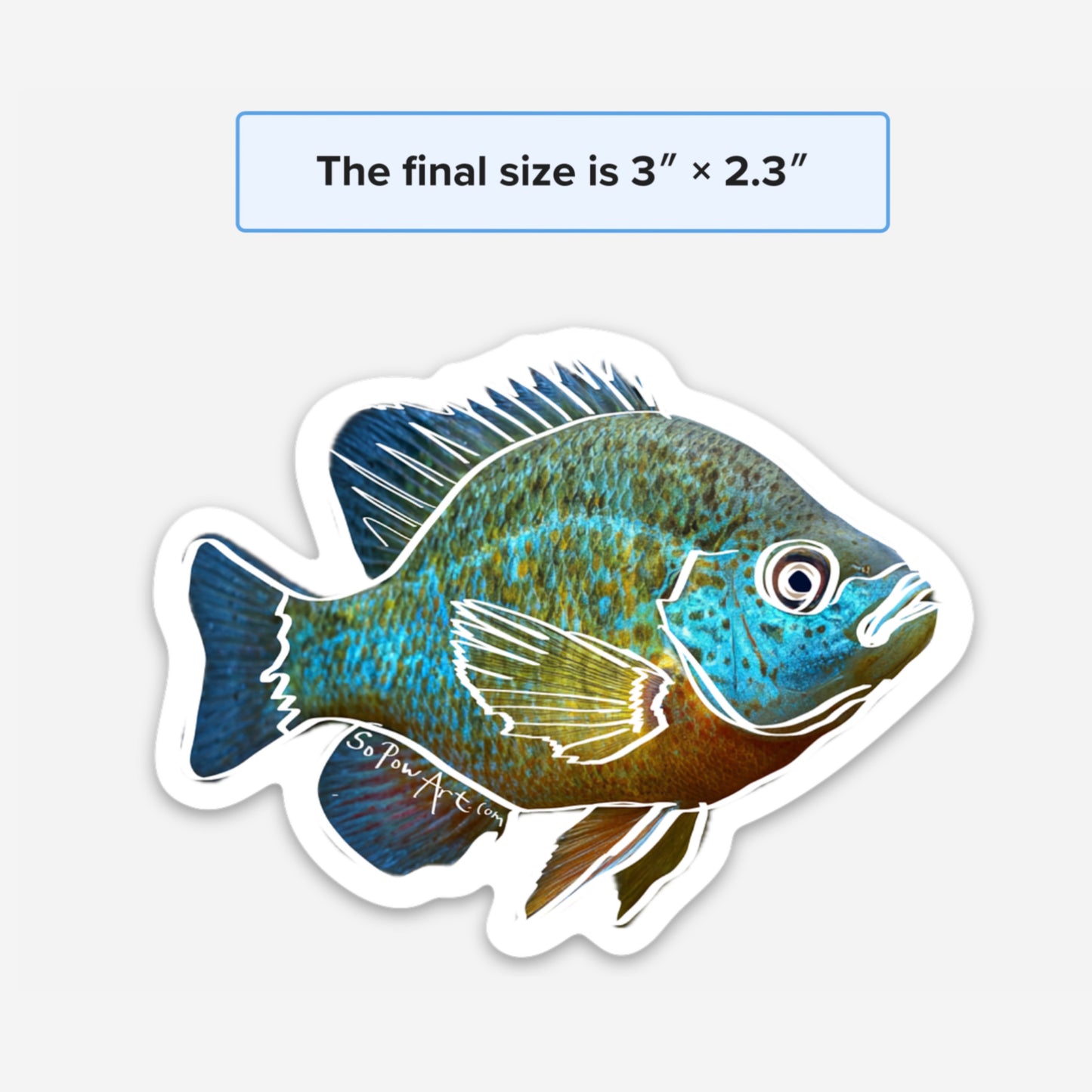 Blue Gill Vinyl Sticker