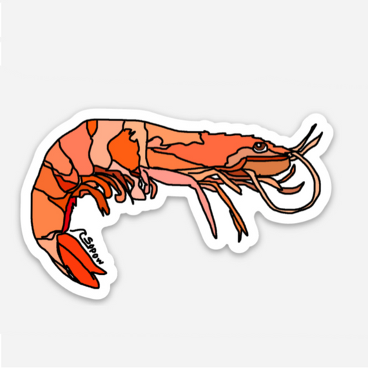 Shrimp Vinyl Sticker