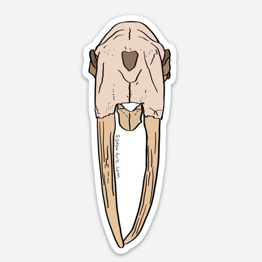 Walrus Skull Vinyl Sticker