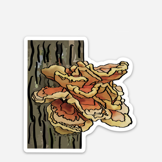Chicken of the Woods Vinyl Sticker