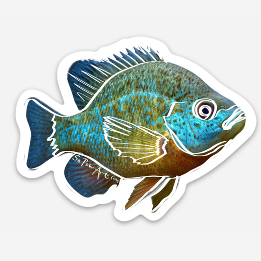 Blue Gill Vinyl Sticker