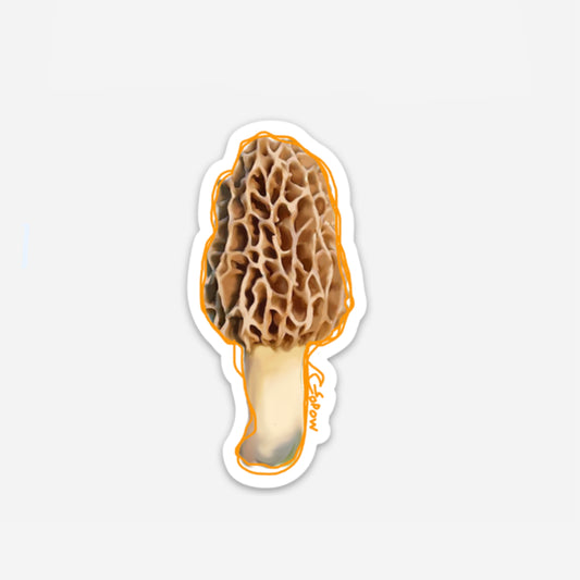 Morel Vinyl Sticker