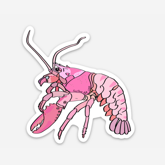 Pink Shrimp Vinyl Sticker