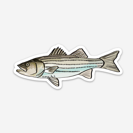 Striped Bass Vinyl Sticker