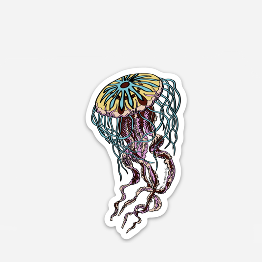 Ernst Haeckel's Jellyfish Vinyl Sticker